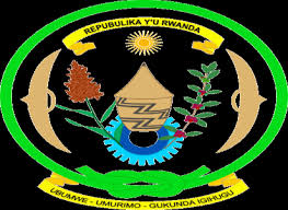 Image result for Stolzia cupuligera