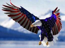 Pin By Gloria Hill On Patrioctic Bald Eagle American Flag Eagle Animals