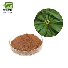 Image result for Fadogia variifolia