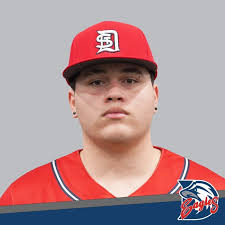 2024-25 Dyersburg State Men's Baseball