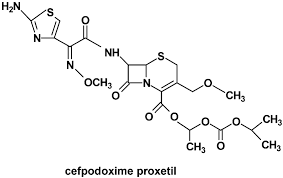 Image result for Cefpodoxime