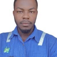 100+ "Iboko" profiles