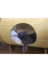 Kedievi Ahsap Kedi Evi Buyuk Boy Trendyol