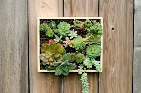 Add a hanging garden to your home with a living succulent picture frame. Vertical Succulent Wall Planter In Quick Easy Steps Diy Succulent Frame Balcony Garden Web