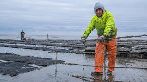 Amazon's choice for fishing care package. As Economy Has Faltered New Jersey S Fishing Industry Gets Walloped Nj Spotlight News