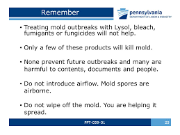 Best Bathroom Cleaners For Mold 2024