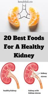20 Best Foods For A Healthy Kidney Food Healthy Health