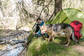 Maybe you would like to learn more about one of these? Guidelines For Visiting National Parks With Your Dog This Summer Ontario Spca And Humane Society