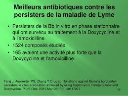 La conduite thérapeutique (choix de l'antibiotique, posologie, durée du traitement) dépend de l'âge et des atteintes présentes, d'où l'importance de procéder à examen physique complet incluant un examen neurologique. Francais Dr Liz Zubek Et Dr Alison C Bested