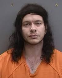 30-year-old KRISTOFFER GRAY from TAMPA was booked