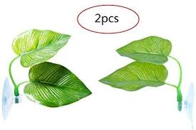 Amazon Com Alwaysuc 2 Pack Betta Fish Leaf Pad Betta Hammock Toys Plastic Aquarium Plants With Suction Cu Plastic Aquarium Plants Planted Aquarium Betta Fish