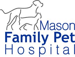 Mason Family Pet Hospital Animal Hospital Family Pet Pets