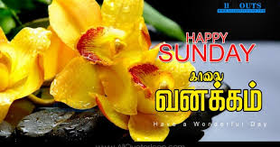 Check spelling or type a new query. Tamil Good Morning Quotes Wshes For Whatsapp Life Facebook 3d Yellow Orchid 1200x630 Wallpaper Teahub Io