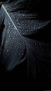 Only the best hd background pictures. Black Phone Hd Wallpapers Wallpaper Cave