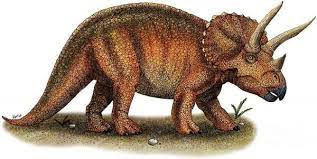 Most Popular Herbivore Dinosaurs In 2021 Dinosaurs Names And Pictures Dinosaur Pictures Dinosaur Illustration