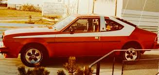 Image result for Alpine White 1976 AMC