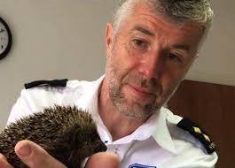 David McAdam: Tributes paid to 'Action Man' RSPCA rescuer