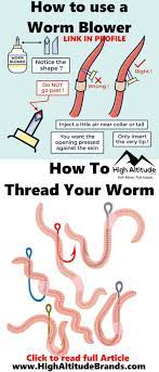 How To Properly Fish With Worms Fish Fish Information Fishing Tips