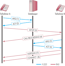 Assigned port for this protocol is 5004 and it belongs to the working groups avt. Protokolle Im Uberblick H 323 Und Sip Ix