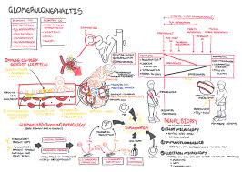 Nephrotic Syndrome Armando Hasudungan