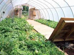 You'll also get plenty of discounts when you shop for greenhouse hoop during big sales. Hoop House Organic Gardening Mother Earth News