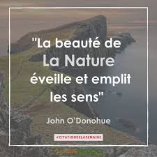 Phrases, sayings, proverbs and idioms at. La Beaute De La Nature Eveille Et Emplit Les Sens Citation Beaute Nature Citations Beaute