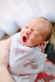 families — Danielle Hersey