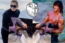 Rekaman cctv perlihatkan mesin atm di india dibobol monyet. Heboh Meme Monyet Cukur Rambut Ini Sukses Jadi Sensasi Internet