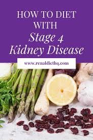 Changing and transitioning diets renal diets are generally less palatable than maintenance diets 64 larsen ja, parks em, heinze cr, et al. Stage 4 Kidney Failure Diet Renal Diet Menu Headquarters Kidney Friendly Recipes Renal Diet Kidney Disease Diet Recipes Kidney Failure Diet