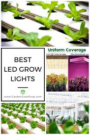 Check spelling or type a new query. Best Led Grow Light Spider Farmer Led Led Grow Lights Grow Lights Led Grow