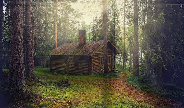 Cabin in the Woods: A Coming of Age Tale | Post Alley