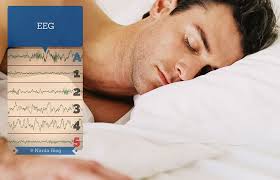 Narda Yatak Stages Of Sleep Stages Of Sleep 5 Stages Of Sleep Sleep Dream