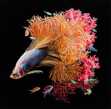 Hyper Realistic Fish Paintings By Lisa Ericson Inspiration Grid Design Inspiration Fish Painting Fish Drawings Fish Art