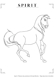 Onze paarden zijn redelijk relaxed onder vuurwerk, ze trekken jaydee maakte deze super leuke paardendingen kleurplaat, met allemaal. Mewarnai Gambar Polos Kleurplaat Paarden Spirit
