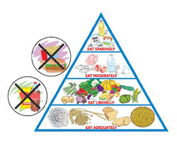Adopt A Balanced Diet Prevent Malnutrition Understanding