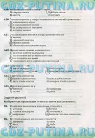 рабочая тетрадь по русскому языку 4 класс исаева скачать Himiya 8 Klass N A Ermakova Tetrad Remoultai Algebra Y Books