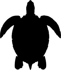 We did not find results for: Svg Haiwan Laut Shell Reptilia Imej Ikon Svg Percuma Svg Silh