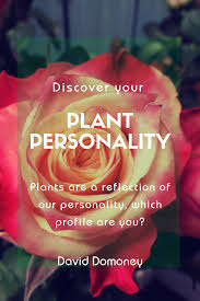 Find Out Your Plant Personality Health And Wellbeing Personality Quiz Plants
