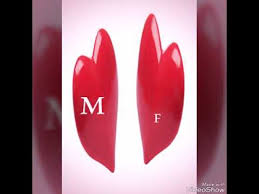 We did not find results for: ØªØ­Ù…ÙŠÙ„ Ø§Ø¬Ù…Ù„ Ø´ÙƒÙ„ Ø­Ø±Ù F Shakal Blog