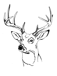 Feel free to print and color from the best 40+ deer head coloring pages at getcolorings.com. Deer Head Coloring Page 1001coloring Com