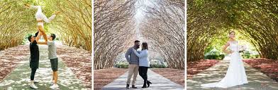 50 best places to shoot photos in dallas. Do It For The Gram 6 Photo Ops You Can Only Get At The Dallas Arboretum Dallas Arboretum And Botanical Garden Blog