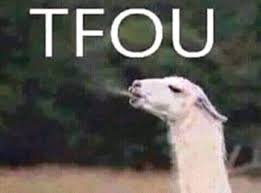 تفو ع اللي يهددني باليوتيوب animals funny arabic jokes