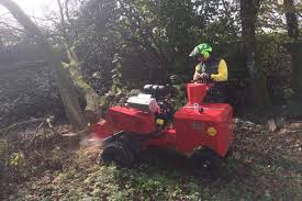 Matt baume covers geek culture, queer news, and city infrastructure, and will leap at the flimsiest of excuses to write about furries. Startseite Baumpflege Matt