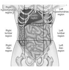 This chapter focuses on various causes for the pain in right hypochondrium. Jaypeedigital Ebook Reader