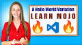 How to code your first Mojo program