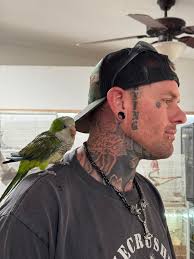 WHAT IS MY DAUGHTER AMELIA DOING AT HER SHOWS?! THIS IS VILE!