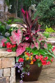 Container Gardening Whats Ur Home Story Plants For Shady Areas Plants Patio Container Gardening