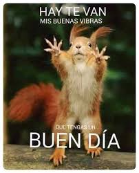 Frases Mensajes Chistosos De Buenos Dias Con Imagenes Fraseshoy Org