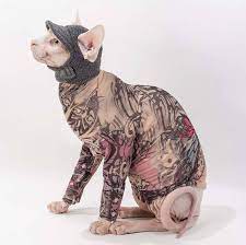They are one of the most popular breeds in the. Unusual Tattoo Sleeves For Sphynx Cat Design Swan