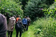 Forage and Cookery Course in Hertfordshire